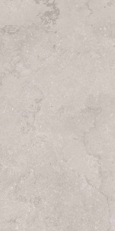 OL Port Land Stone Greige Matte 24 x 48